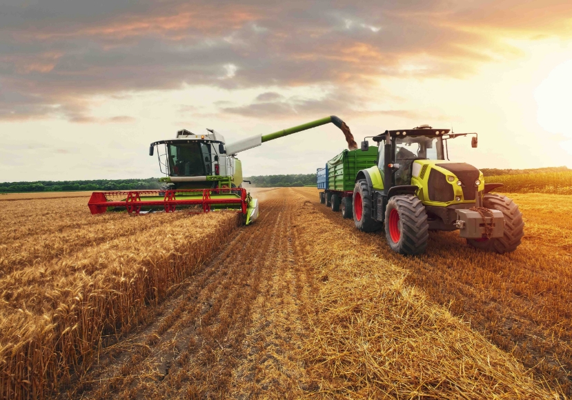 Mietitrebbia durante la raccolta